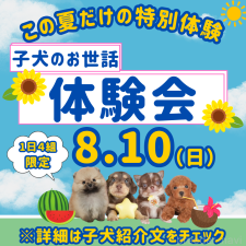 勝間大輝ブリーダー